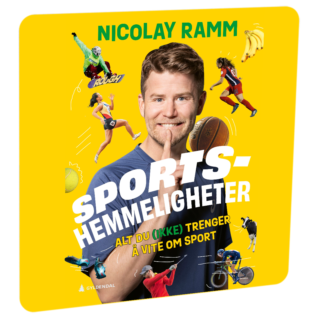 Sportshemmeligheter: Alt du (ikke) trenger å vite om sport av Nicolay Ramm