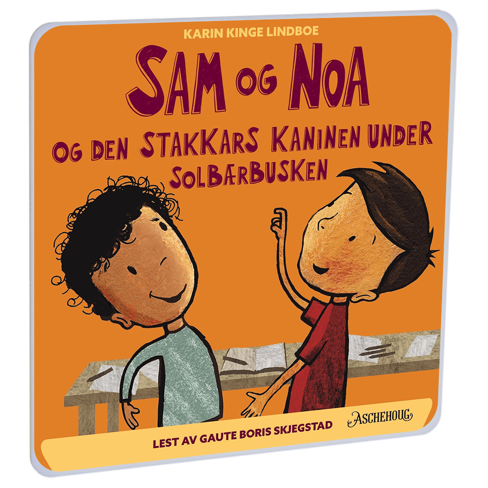 Sam og Noa og den stakkars kaninen under solbærbusken av Karin Kinge Lindboe