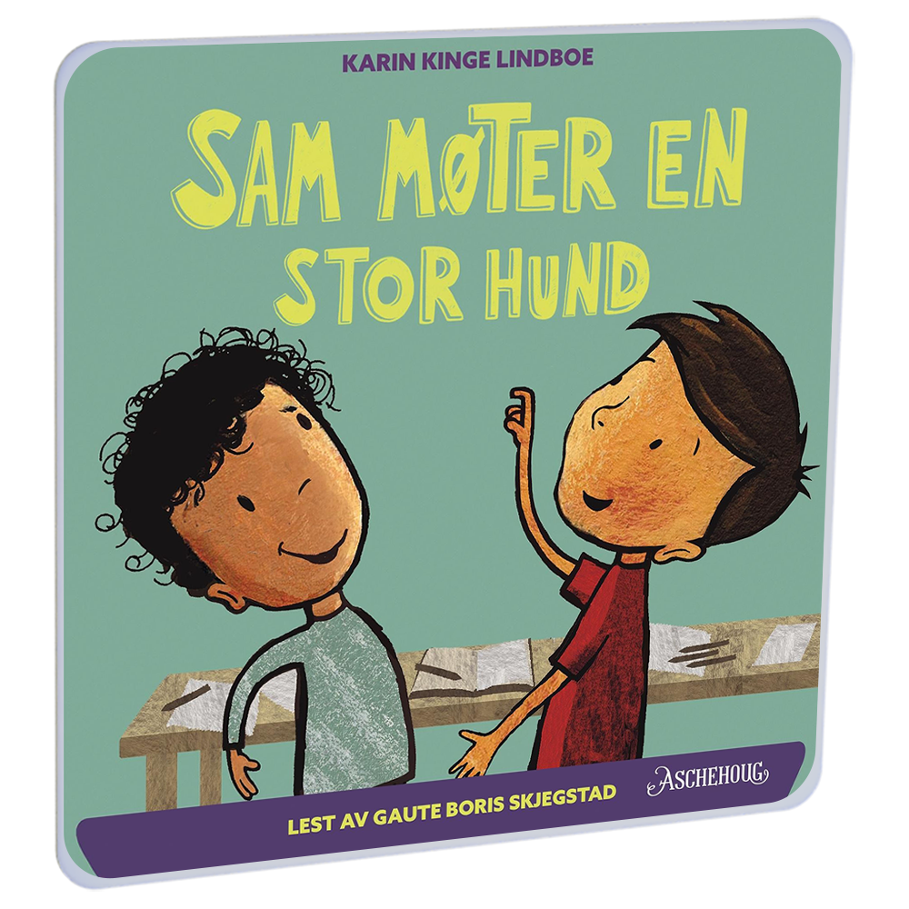 Sam møter en stor hund av Karin Kinge Lindboe