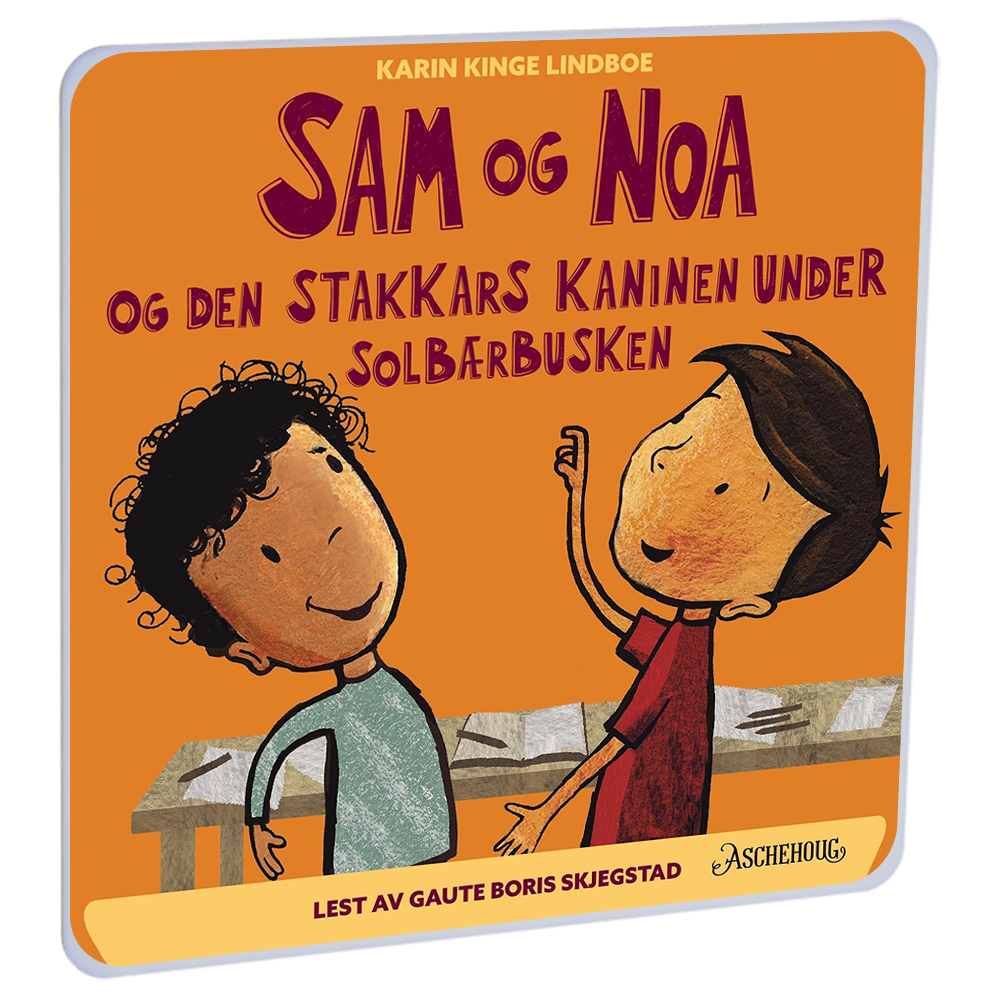 Sam og Noa og den stakkars kaninen under solbærbusken av Karin Kinge Lindboe