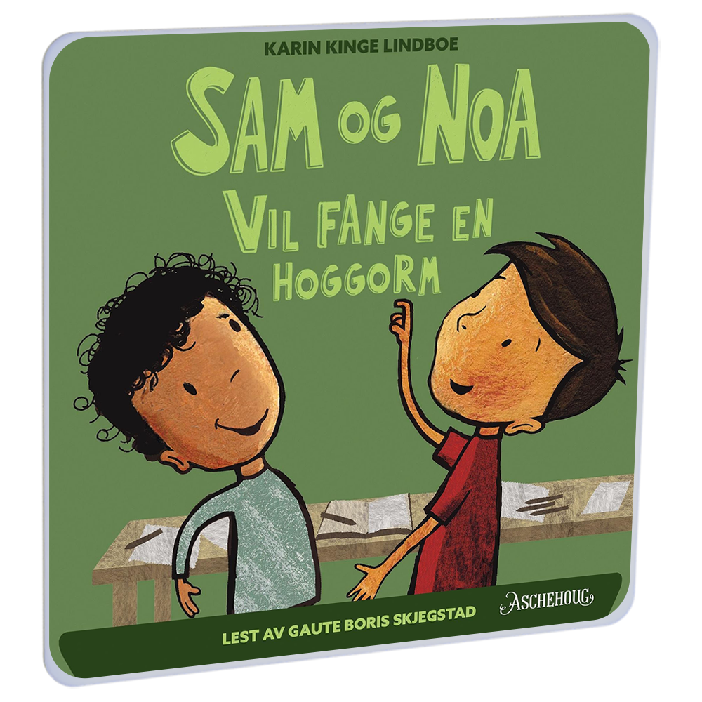 Sam og Noa vil fange en hoggorm av Karin Kinge Lindboe