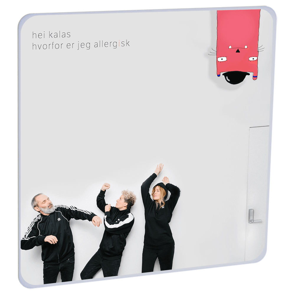 Hvorfor er jeg allergisk av hei kalas | HiRO norsk høyttaler for barn